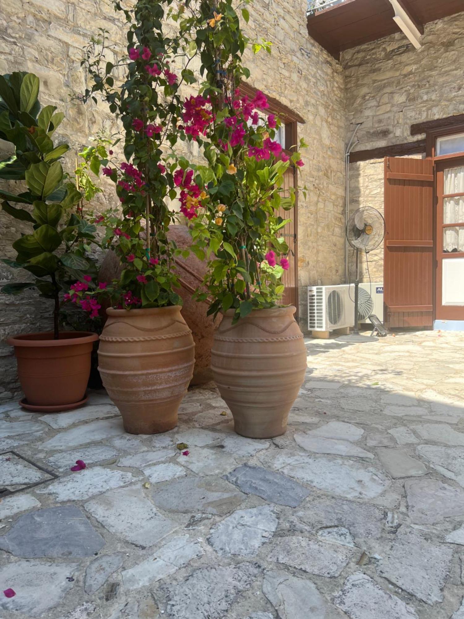 Villa Theodorou Lefkara Exterior foto