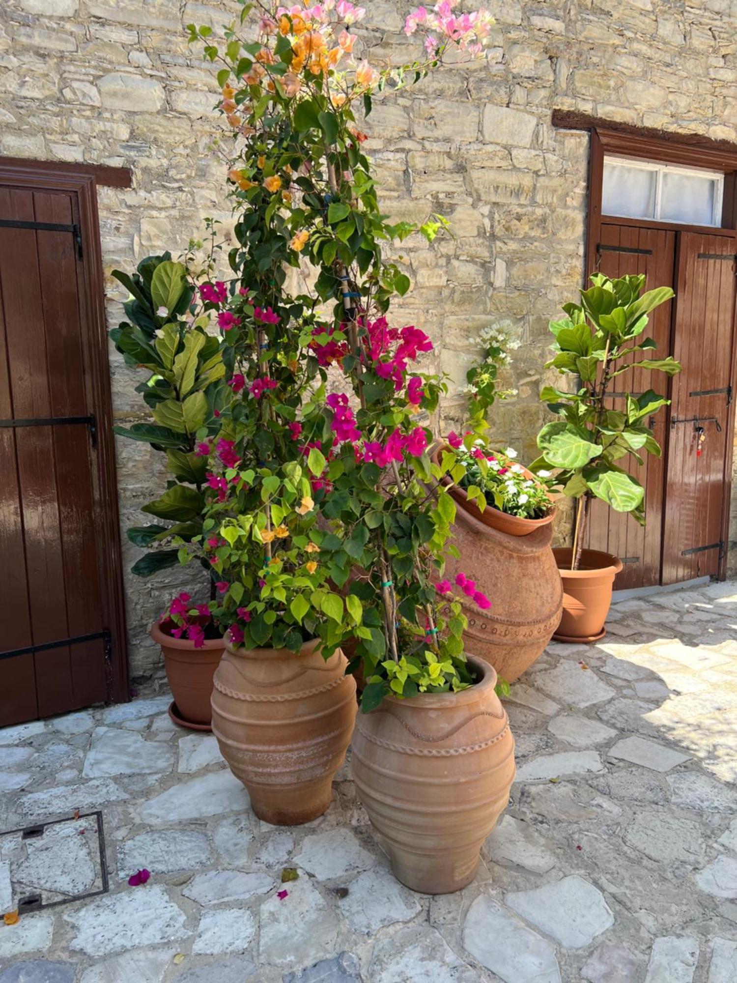 Villa Theodorou Lefkara Exterior foto